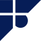 ftdsolutions.net icon
