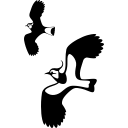 fuglevaernsfonden.dk icon