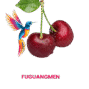 fuguangmen.com icon