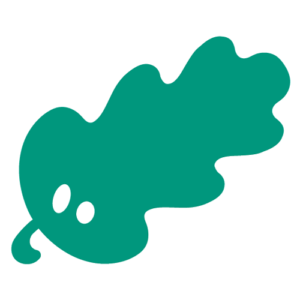 fullastudio.com icon
