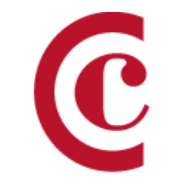 fundacioncamaradesevilla.com icon