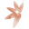fundaciongaselec.es icon