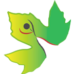 fundacionsicomoro.org icon