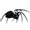 funeralrave.ru icon