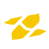 fuzelift.com icon