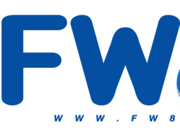 fw88.biz icon