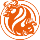 FXOpen logo