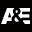 fyi.tv icon