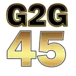 g2g45.autos icon