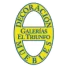 galeriaseltriunfo.com icon
