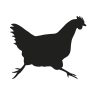 gallina.bio icon