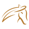 Logo sklepu Galop-store.pl