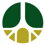 galvaniengenharia.com.br icon