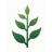 gardenplanbyai.com icon