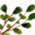 gardensbc.com icon
