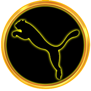 garongvip.site icon