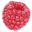 gaybasel.org icon