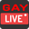 gaylive.online icon