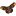 gdfcf.org icon