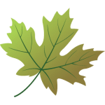 geaugamapleleaf.com icon