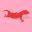 geckodesigns.com icon