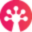 geckodigital.co icon