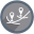 gecoder.org icon