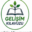 gelisim-kilavuzu.com.tr icon