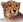 gepard.net icon