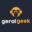 geralgeek.com.br icon