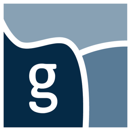 gesundheitswirtschaft-rhein-main.de icon