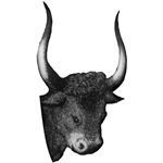 getrawmilk.com icon