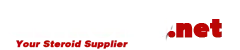 getroids1.net logo