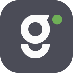 gigoo.ru icon