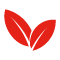 ginjer-am.com icon
