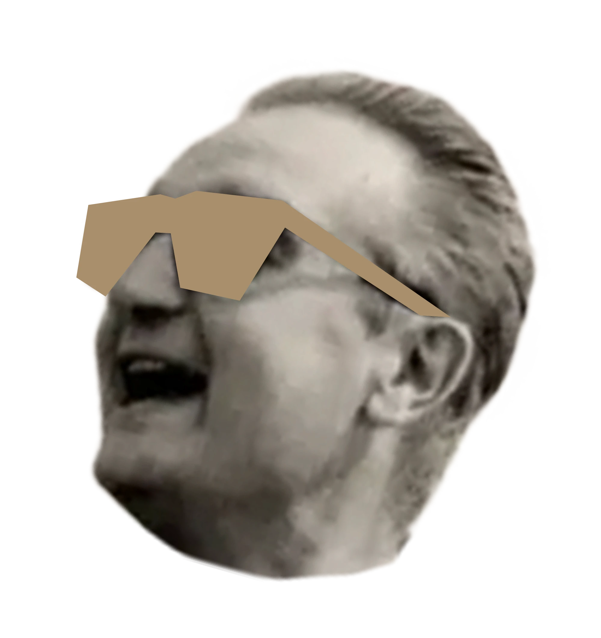 giorgio-rosa.nl icon