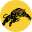 glenelgfc.com.au icon