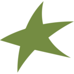 globaloliveoilstars.com icon