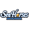 go-seahorses.jp icon