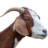 goatsontheroofofthesmokies.com icon
