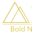 goboldnorth.com icon