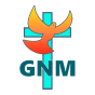 gogoodnews.net icon