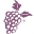 gogrape.com icon