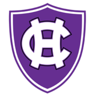 Domain Favicon
