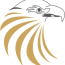 goldeneagledrivingschool.com icon