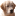 goldenretrieverfokkers.nl icon