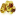 goldhost.com icon