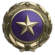 goldstarfamilyregistry.com icon