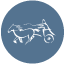 Chariot Run logo