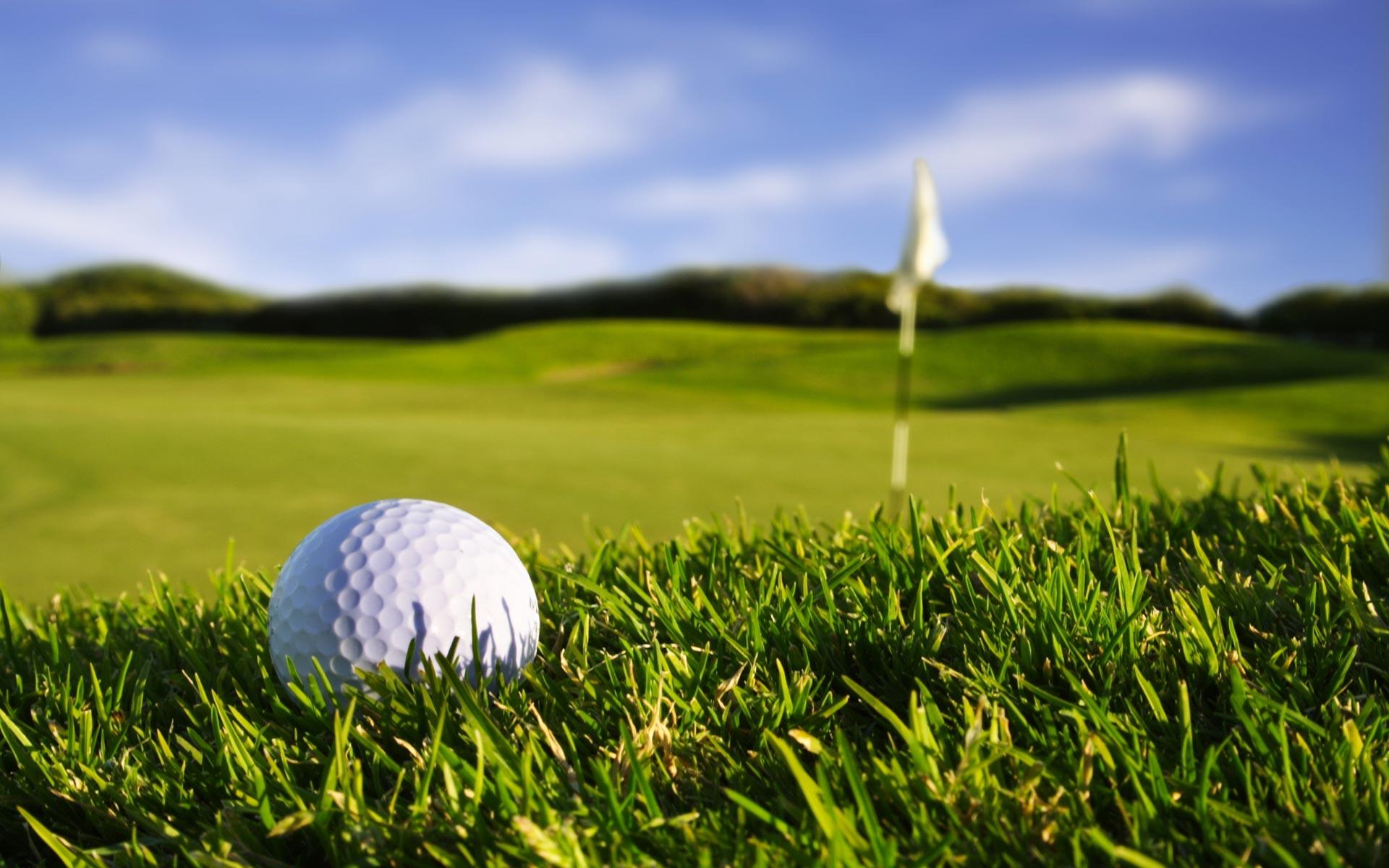 Golf Star logo